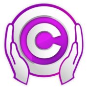 WeSaveYourCopyrights Rechtsanwaltsgesellschaft Frankfurt logo